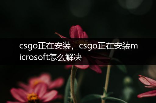 csgo正在安装，csgo正在安装microsoft怎么解决