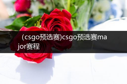 （csgo预选赛)csgo预选赛major赛程