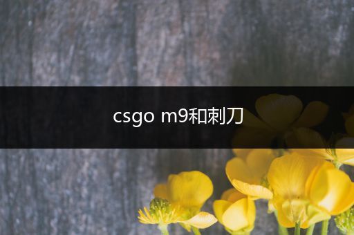 csgo m9和刺刀