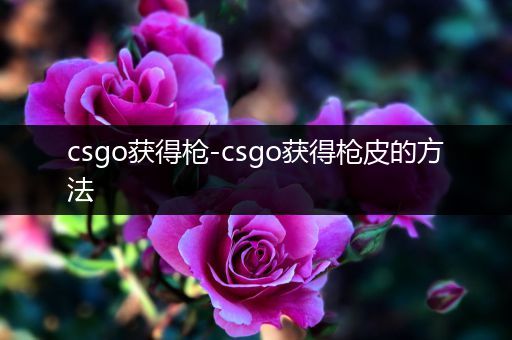 csgo获得枪-csgo获得枪皮的方法