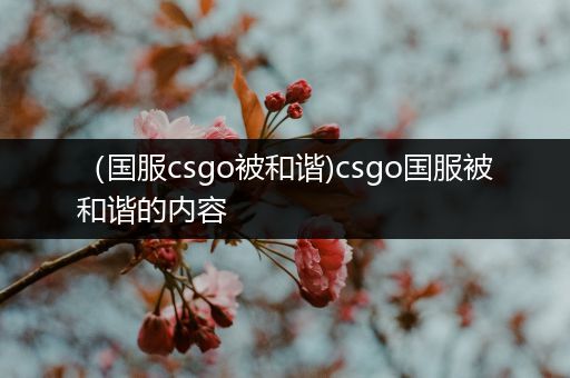 （国服csgo被和谐)csgo国服被和谐的内容