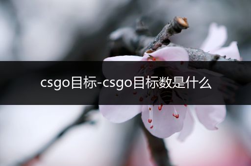 csgo目标-csgo目标数是什么