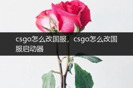 csgo怎么改国服，csgo怎么改国服启动器