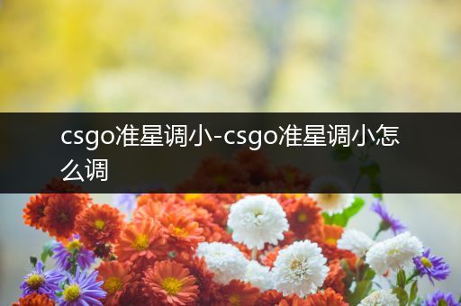 csgo准星调小-csgo准星调小怎么调