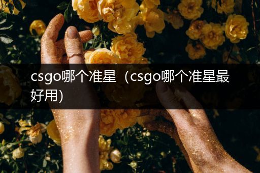 csgo哪个准星（csgo哪个准星最好用）