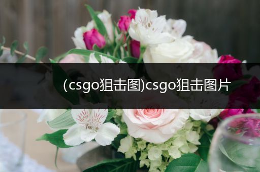 （csgo狙击图)csgo狙击图片