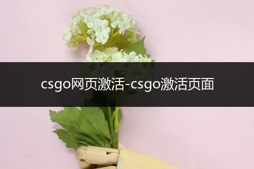 csgo网页激活-csgo激活页面