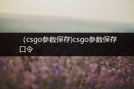 （csgo参数保存)csgo参数保存口令