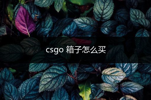 csgo 箱子怎么买