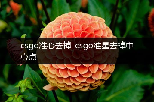 csgo准心去掉_csgo准星去掉中心点