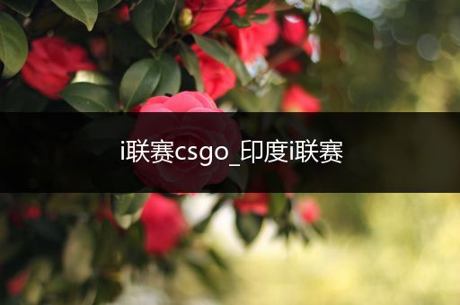 i联赛csgo_印度i联赛