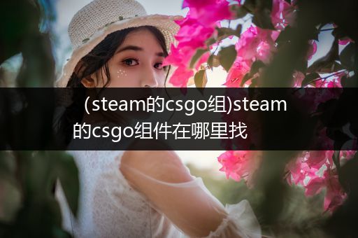 （steam的csgo组)steam的csgo组件在哪里找