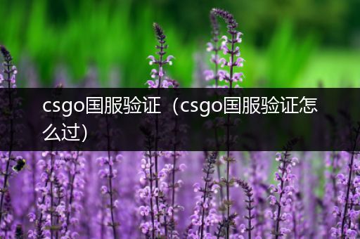 csgo国服验证（csgo国服验证怎么过）