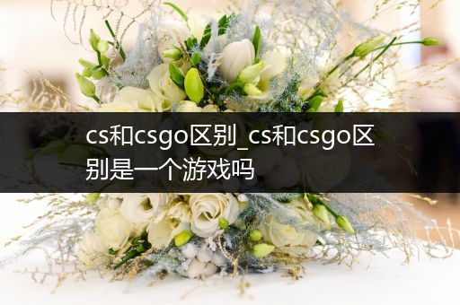 cs和csgo区别_cs和csgo区别是一个游戏吗