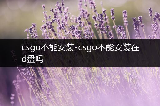 csgo不能安装-csgo不能安装在d盘吗