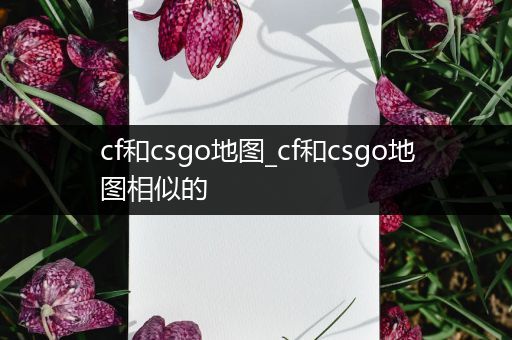 cf和csgo地图_cf和csgo地图相似的