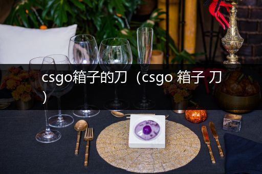 csgo箱子的刀（csgo 箱子 刀）