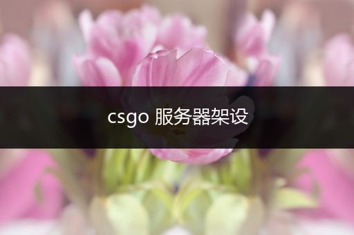 csgo 服务器架设