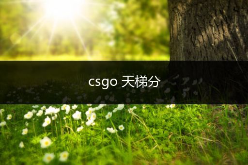 csgo 天梯分