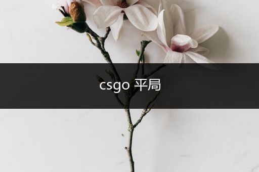 csgo 平局