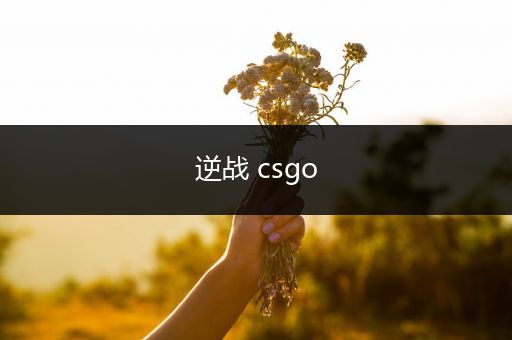 逆战 csgo