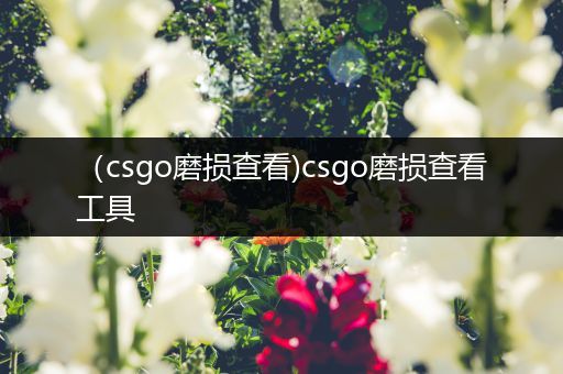 （csgo磨损查看)csgo磨损查看工具