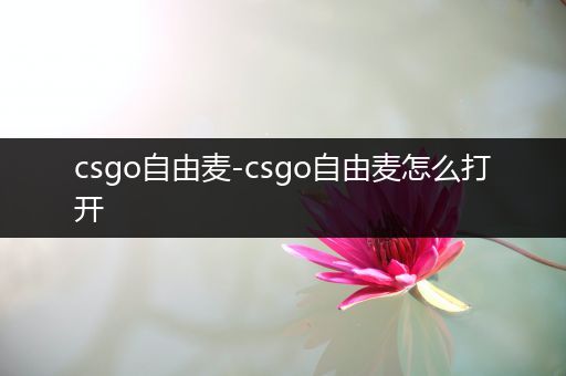 csgo自由麦-csgo自由麦怎么打开