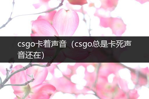 csgo卡着声音（csgo总是卡死声音还在）