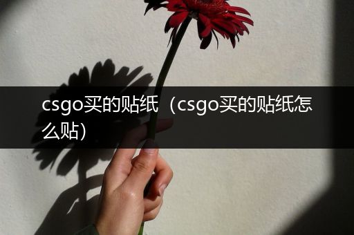 csgo买的贴纸（csgo买的贴纸怎么贴）