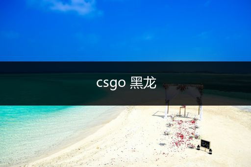 csgo 黑龙