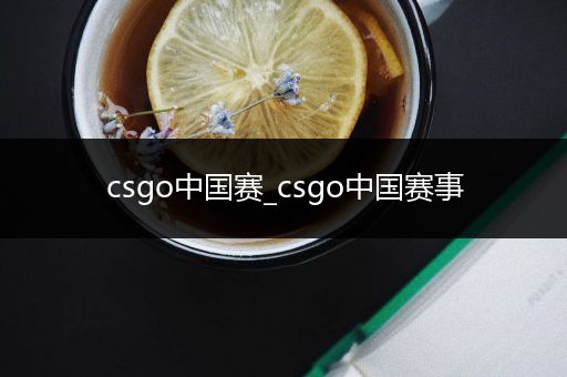 csgo中国赛_csgo中国赛事