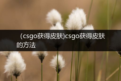 （csgo获得皮肤)csgo获得皮肤的方法