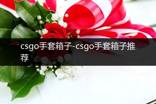 csgo手套箱子-csgo手套箱子推荐