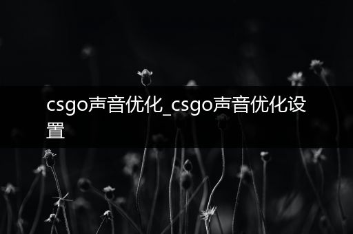 csgo声音优化_csgo声音优化设置