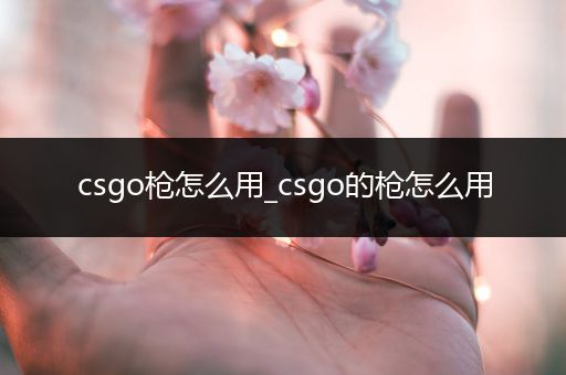 csgo枪怎么用_csgo的枪怎么用