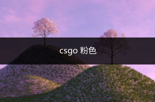 csgo 粉色