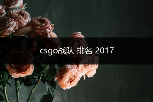 csgo战队 排名 2017