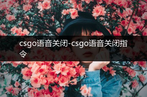 csgo语音关闭-csgo语音关闭指令