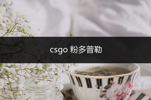 csgo 粉多普勒