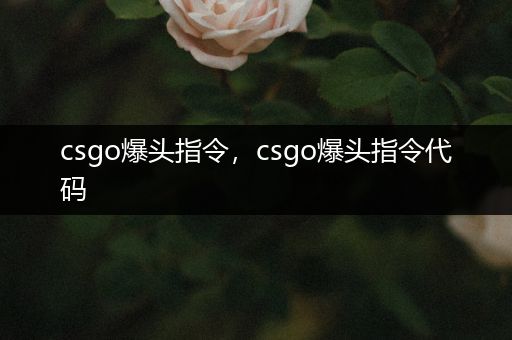 csgo爆头指令，csgo爆头指令代码