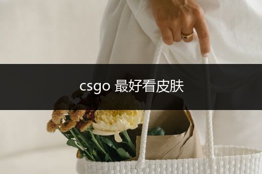 csgo 最好看皮肤