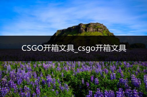 CSGO开箱文具_csgo开箱文具