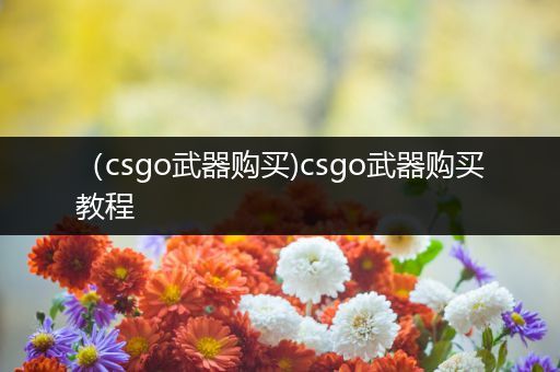 （csgo武器购买)csgo武器购买教程