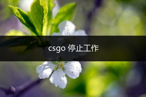 csgo 停止工作