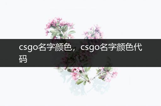 csgo名字颜色，csgo名字颜色代码