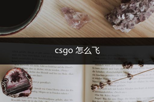 csgo 怎么飞