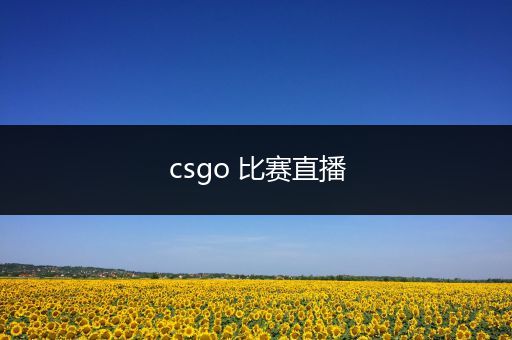 csgo 比赛直播