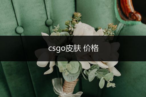 csgo皮肤 价格