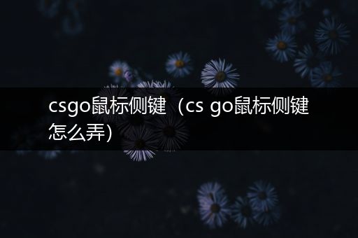 csgo鼠标侧键（cs go鼠标侧键怎么弄）