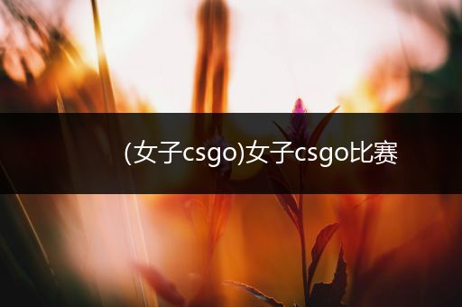 （女子csgo)女子csgo比赛